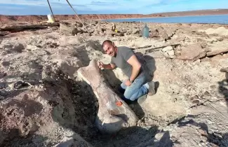 dinosaurio-neuquen