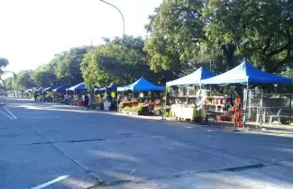 paseo-de-las-plantas