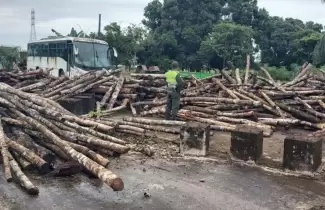 deforestacion-