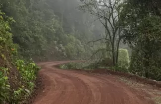 ruta-83-yungas