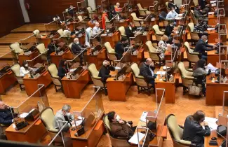 legislatura