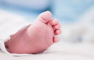 bebe