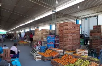 feria-perico-1