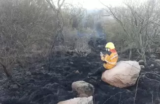 bombero-examen