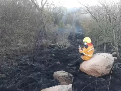 bombero-examen