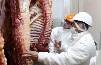carne