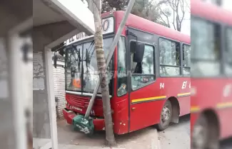 colectivo-choco