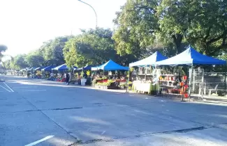 paseo-de-las-plantas