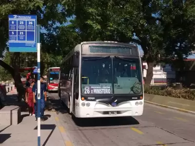 COLECTIVO-