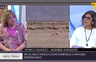 NOTAS-EDITADAS-DIA-MARTES.05_28_43_14.Imagen-fija371