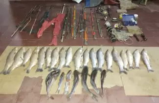 Peces-secuestrados