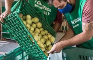 alimentos