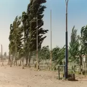 Continúa vigente el alerta amarillo por viento en Jujuy