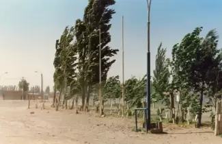 alerta-viento-norte-zonda