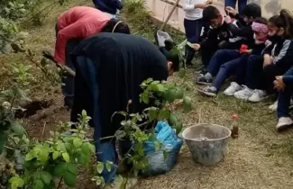 arbol-va-a-la-escuela