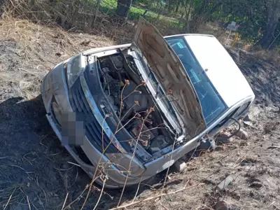 auto-santo-domingo