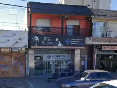 veterinaria