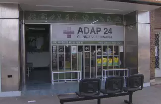 veterinaria-buenos-aires