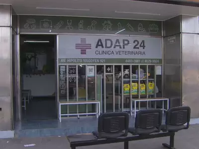 veterinaria-buenos-aires