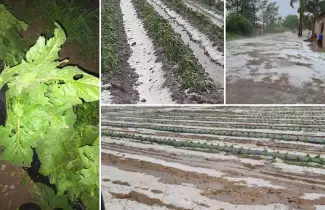 Granizo-salta
