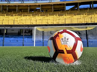 pelota
