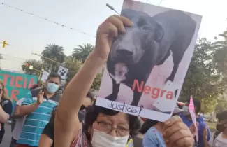 Negrita