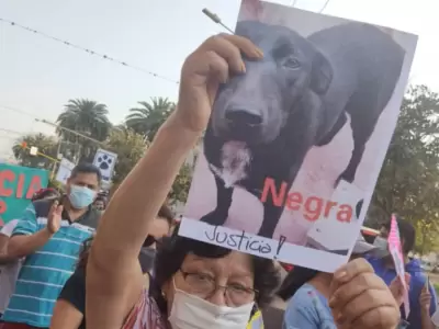 Negrita