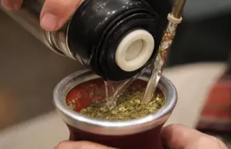 yerba-mate