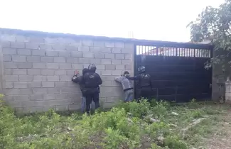 procesados