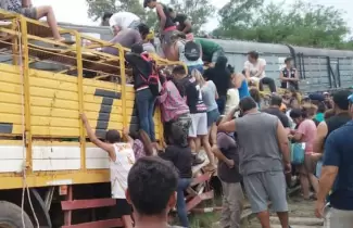 vacas-camion-tren