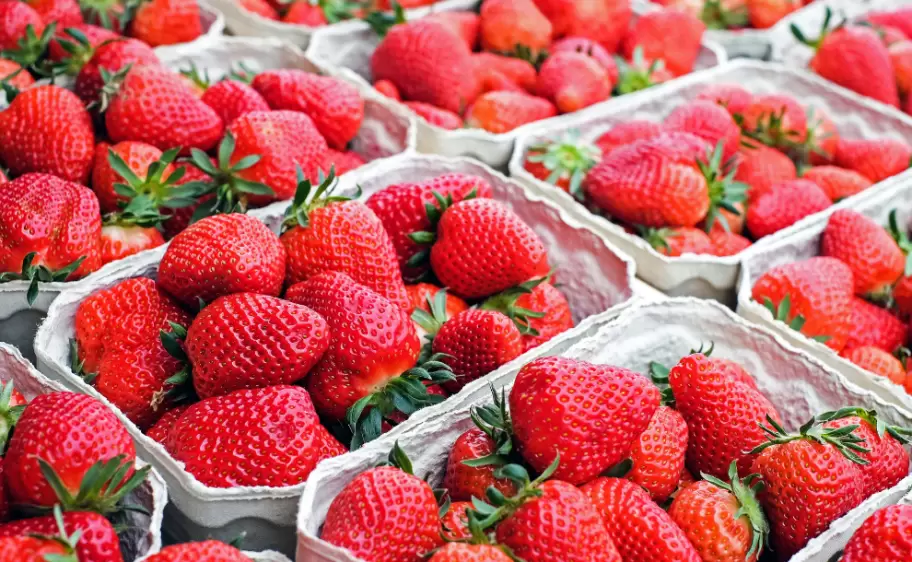 Frutillas