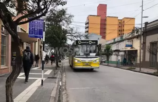 colectivos