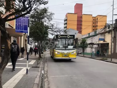 colectivos