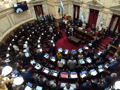 camara-de-senadores-bienes-personales