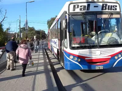 transporte-colectivo-pal-bus-palbus-palpala