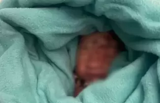BEBE-EN-BANO-DE-AVION-