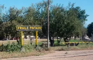 fraile-pintado