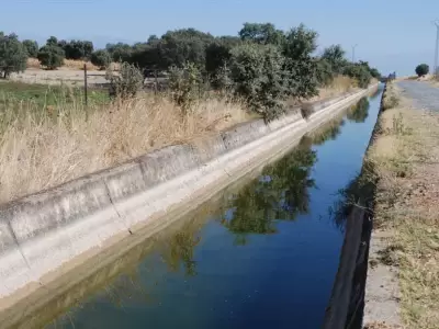 canal-de-riego-alusiva