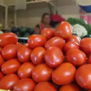 Baj el precio del tomate en Jujuy: a cunto se vende por kilo y por cajn