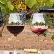 El Gobierno anunció la eliminación de trabas para la producción de vino sin alcohol