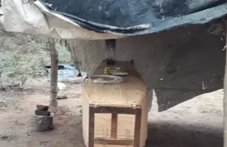 ATAUD-CARPA-SALTA
