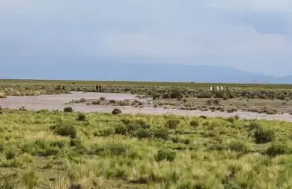 puna-camioneta-arrastrada-por-el-rio-1