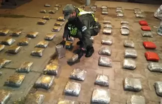 cogollos-de-marihuana-con-destino-a-Jujuy