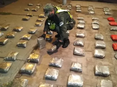 cogollos-de-marihuana-con-destino-a-Jujuy