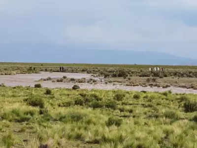 puna-camioneta-arrastrada-por-el-rio-1
