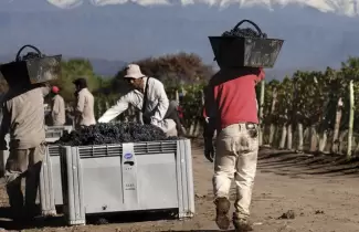 trabajadores-golondrinas