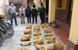 cueros-de-vicuna-