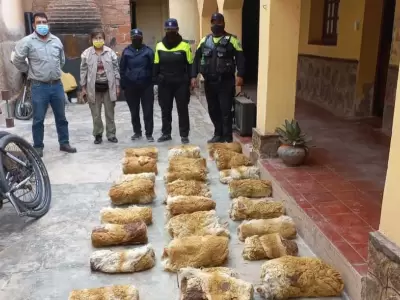 cueros-de-vicuna-