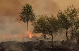 incendios-en-corrientes