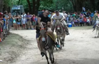 carrera-de-burros